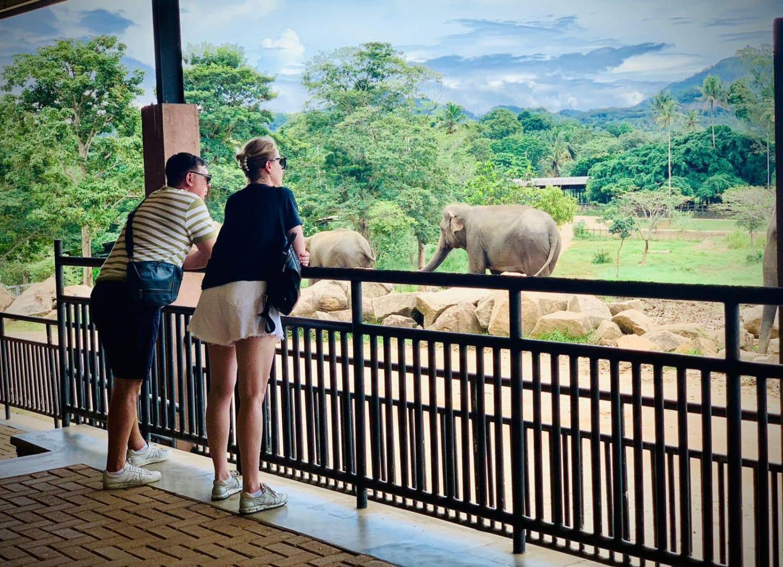 Elepath Lodge- Pinnawala Pinnawala  Esterno foto